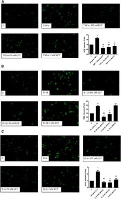 A Multitarget Therapeutic Peptide Derived From Cytokine Receptors Based on in Silico Analysis Alleviates Cytokine-Stimulated Inflammation